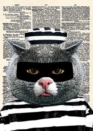 Cat Burglar Card