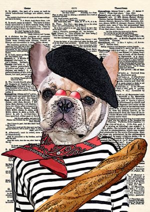 Frenchie - Not Baton Rouge Card