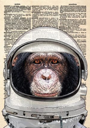 Space Chimp Card