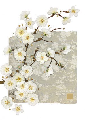 white-blossom-greeting-card