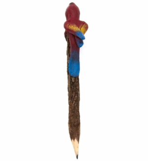 Rear-view of the wonderful Parrot Sawdust Twig Pencils